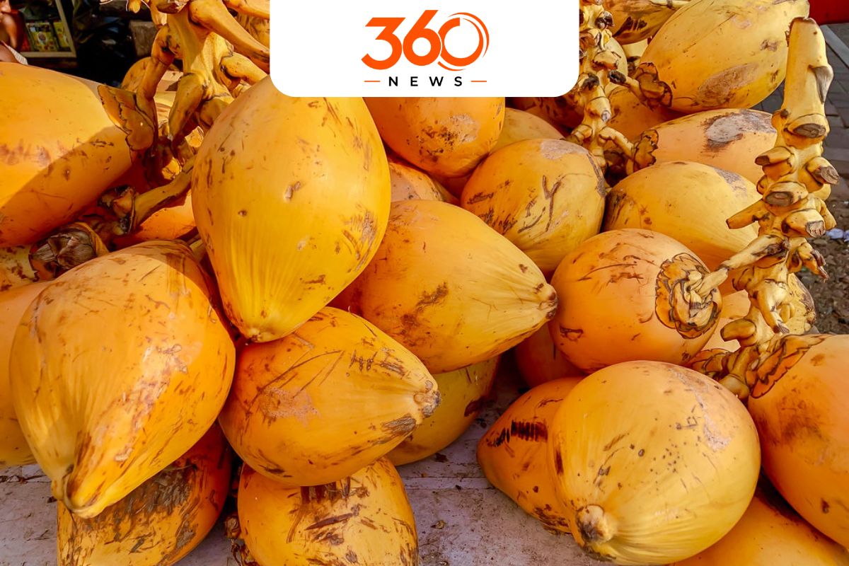 අපේක්ෂා රෝහලේ රෝගීන්ට තැඹිලි ලබා දීම නතර කර තිබේ ද? ඉදිරියේදී පරිත්‍යාග ලබා දිය යුත්තේ කොහොම ද?